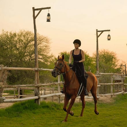 Horse Riding with Open Buffet Dinner & Shows – Desert safaris KohK.com Special Offers, Deals & Discounts in Netherlands, Poland, Hungary, Denmark, Sweden, Latvia
