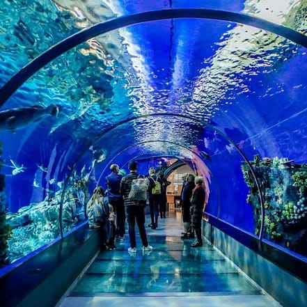 Istanbul Aquarium Ticket & Shuttle – Experiences KohK.com Special Offers, Deals & Discounts in Netherlands, Poland, Hungary, Denmark, Sweden, Latvia