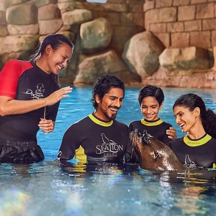 Sea Lion Experiences at Atlantis The Palm – Water Parks KohK.com Special Offers, Deals & Discounts in Netherlands, Poland, Hungary, Denmark, Sweden, Latvia