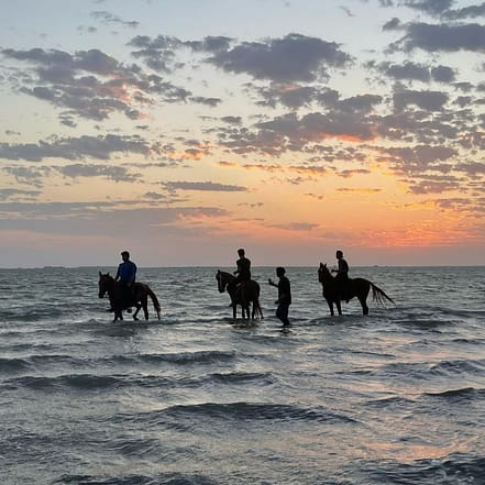 Horse Riding in Jeddah – Experiences KohK.com Special Offers, Deals & Discounts in Netherlands, Poland, Hungary, Denmark, Sweden, Latvia