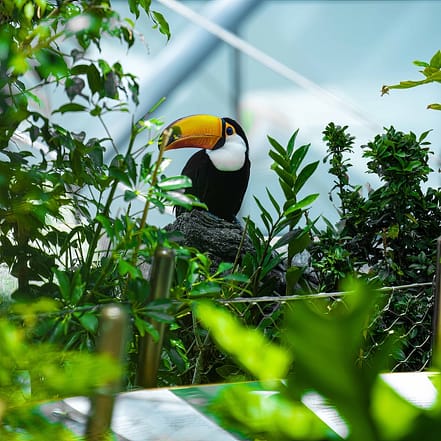 The Green Planet Dubai – Theme Parks KohK.com Special Offers, Deals & Discounts in Netherlands, Poland, Hungary, Denmark, Sweden, Latvia