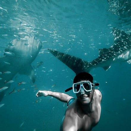 Private group Boating Experience with Dolphins Watching & Snorkeling – Sightseeing and Tours KohK.com Special Offers, Deals & Discounts in Netherlands, Poland, Hungary, Denmark, Sweden, Latvia