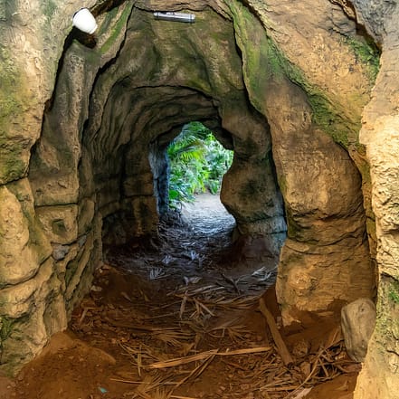 Tropical Land – Top-Rated Attractions KohK.com Special Offers, Deals & Discounts in Netherlands, Poland, Hungary, Denmark, Sweden, Latvia