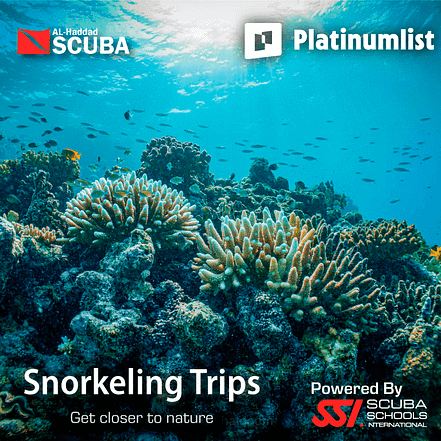 Snorkeling Daily Trips in Jeddah – Attractions Special Offers KohK.com Special Offers, Deals & Discounts in Netherlands, Poland, Hungary, Denmark, Sweden, Latvia