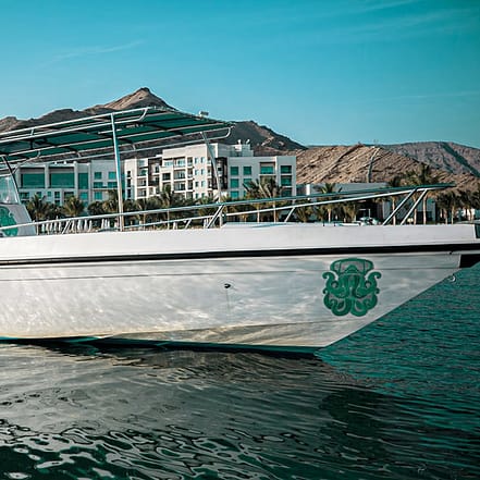 Exclusive Boating Experience – Dolphins Watching – Sightseeing and Tours KohK.com Special Offers, Deals & Discounts in Netherlands, Poland, Hungary, Denmark, Sweden, Latvia