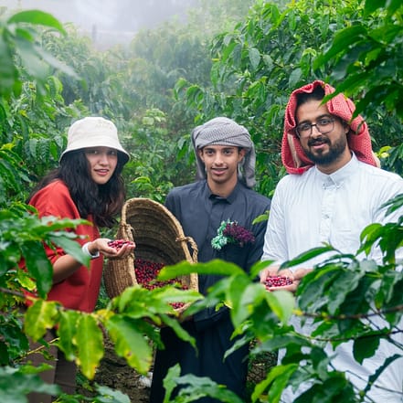 From Arabica to Arabian – Coffee Experience at a local farm – Recently Added Experiences KohK.com Special Offers, Deals & Discounts in Netherlands, Poland, Hungary, Denmark, Sweden, Latvia