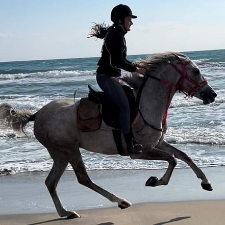 Horse Riding at Shahaniya –  Qool Qatar – Must-see attractions KohK.com Special Offers, Deals & Discounts in Netherlands, Poland, Hungary, Denmark, Sweden, Latvia