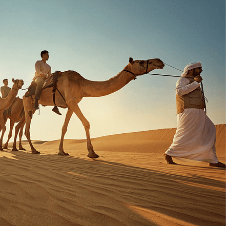 Camel Trekking Experience In Abu Dhabi With Transfers In Land Cruiser – Top-Rated Attractions KohK.com Special Offers, Deals & Discounts in Netherlands, Poland, Hungary, Denmark, Sweden, Latvia
