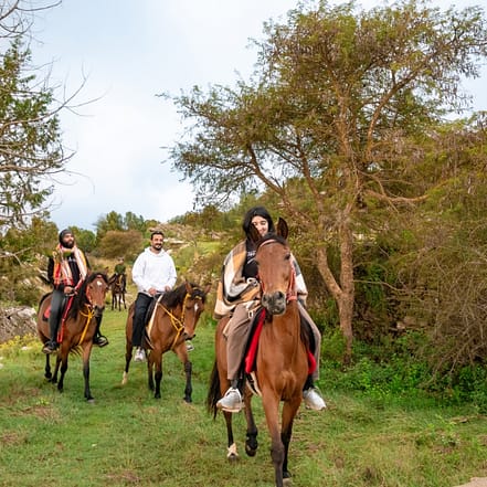 Horse Riding Experience – Recently Added Experiences KohK.com Special Offers, Deals & Discounts in Netherlands, Poland, Hungary, Denmark, Sweden, Latvia