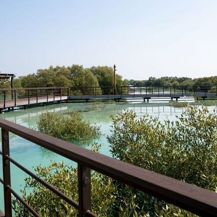Jubail Mangrove Park – Boardwalk Experience – Recently Added Experiences KohK.com Special Offers, Deals & Discounts in Netherlands, Poland, Hungary, Denmark, Sweden, Latvia