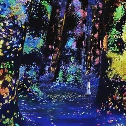 TeamLab Phenomena Abu Dhabi – Museums KohK.com Special Offers, Deals & Discounts in Netherlands, Poland, Hungary, Denmark, Sweden, Latvia