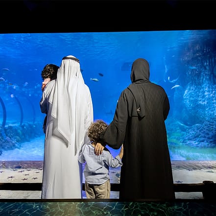 The National Aquarium Abu Dhabi – Experiences KohK.com Special Offers, Deals & Discounts in Netherlands, Poland, Hungary, Denmark, Sweden, Latvia