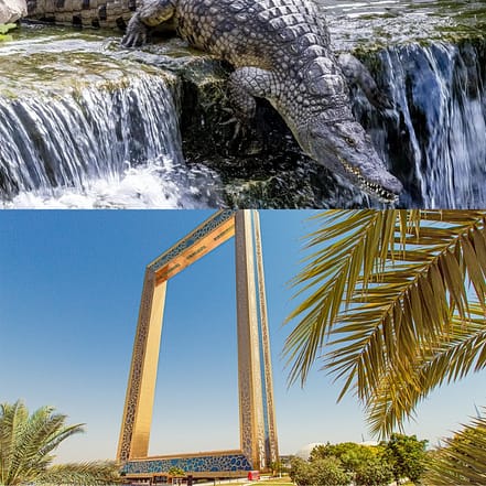 Crocodile Park Special Offer Combos – Upto 30% OFF – Attractions Special Offers KohK.com Special Offers, Deals & Discounts in Netherlands, Poland, Hungary, Denmark, Sweden, Latvia
