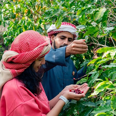 Hike with a local coffee farmer – Recently Added Experiences KohK.com Special Offers, Deals & Discounts in Netherlands, Poland, Hungary, Denmark, Sweden, Latvia