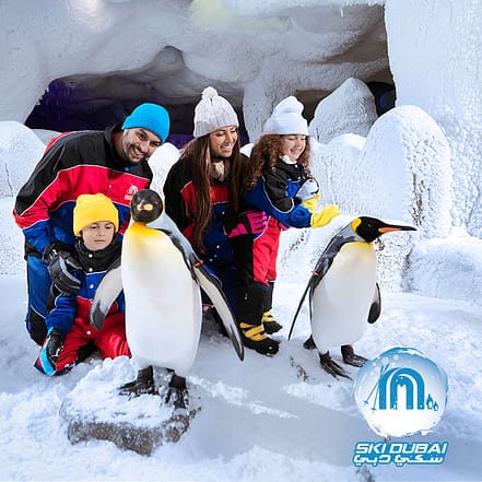 Ski Dubai: Snow Premium with Penguin Encounter – Must-see attractions KohK.com Special Offers, Deals & Discounts in Netherlands, Poland, Hungary, Denmark, Sweden, Latvia