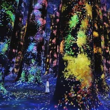 TeamLab Phenomena + Qasr Al Watan – Combo – Recently Added Experiences KohK.com Special Offers, Deals & Discounts in Netherlands, Poland, Hungary, Denmark, Sweden, Latvia