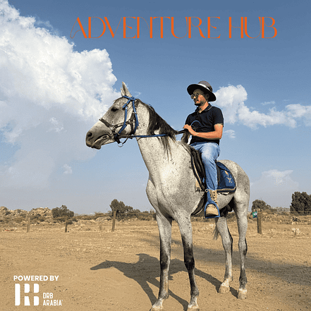 Horseback Ride – A Peaceful Outdoor Experience for All Ages – Must-see attractions KohK.com Special Offers, Deals & Discounts in Netherlands, Poland, Hungary, Denmark, Sweden, Latvia