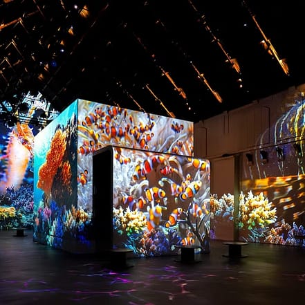 Fabrique des Lumières: The Sea – Recently Added Experiences KohK.com Special Offers, Deals & Discounts in Netherlands, Poland, Hungary, Denmark, Sweden, Latvia