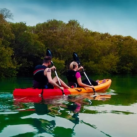 Mangroves Kayaking at Purple Island – Qool Qatar – Must-see attractions KohK.com Special Offers, Deals & Discounts in Netherlands, Poland, Hungary, Denmark, Sweden, Latvia