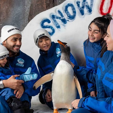 Snow Oman – Top-Rated Attractions KohK.com Special Offers, Deals & Discounts in Netherlands, Poland, Hungary, Denmark, Sweden, Latvia