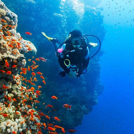 Diving Experience in Khasab – Outdoor Attractions KohK.com Special Offers, Deals & Discounts in Netherlands, Poland, Hungary, Denmark, Sweden, Latvia