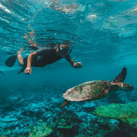 Dive & Snorkel Trips in Fujairah – Water Sports KohK.com Special Offers, Deals & Discounts in Netherlands, Poland, Hungary, Denmark, Sweden, Latvia