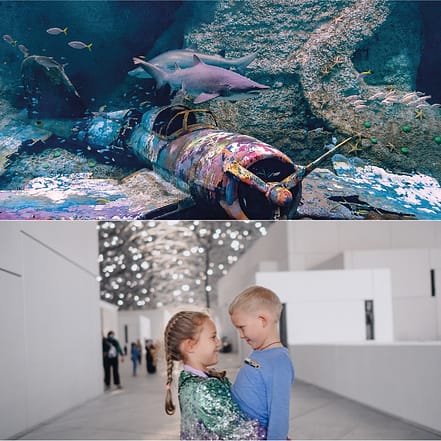 The National Aquarium + Louvre Abu Dhabi – Combo – Combos and more adventures KohK.com Special Offers, Deals & Discounts in Netherlands, Poland, Hungary, Denmark, Sweden, Latvia