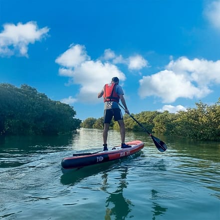 Mangroves paddleboarding at Purple Island – Qool Qatar – Must-see attractions KohK.com Special Offers, Deals & Discounts in Netherlands, Poland, Hungary, Denmark, Sweden, Latvia