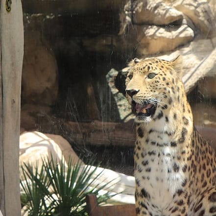 Emirates Park Zoo – Experiences KohK.com Special Offers, Deals & Discounts in Netherlands, Poland, Hungary, Denmark, Sweden, Latvia