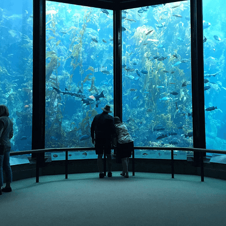 Oman Aquarium – Experiences KohK.com Special Offers, Deals & Discounts in Netherlands, Poland, Hungary, Denmark, Sweden, Latvia