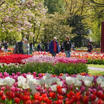 Keukenhof Gardens with transport – Recently Added Experiences KohK.com Special Offers, Deals & Discounts in Netherlands, Poland, Hungary, Denmark, Sweden, Latvia