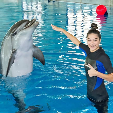 Swimming With Dolphins – Dubai Dolphinarium – Dubai Dolphinarium KohK.com Special Offers, Deals & Discounts in Netherlands, Poland, Hungary, Denmark, Sweden, Latvia