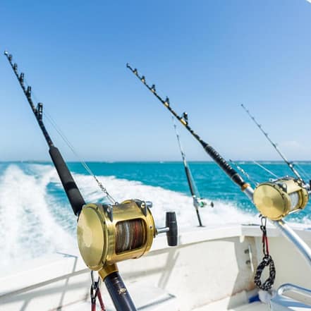 Trolling in Ocean for Big Fish – Top-Rated Attractions KohK.com Special Offers, Deals & Discounts in Netherlands, Poland, Hungary, Denmark, Sweden, Latvia