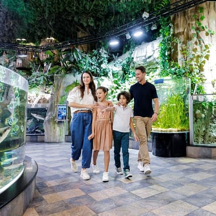 Dubai Aquarium & Underwater Zoo – Ultimate Experience – Experiences KohK.com Special Offers, Deals & Discounts in Netherlands, Poland, Hungary, Denmark, Sweden, Latvia
