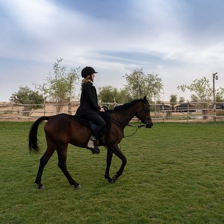 Sunset Horse Riding at Al Marmoom Oasis with a 6-Course Bedouin Dinner – Outdoor Attractions KohK.com Special Offers, Deals & Discounts in Netherlands, Poland, Hungary, Denmark, Sweden, Latvia