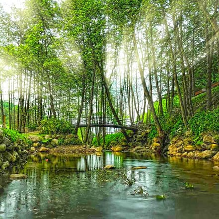 Daily Sapanca and Masukiye Tour: Full-Day Trip From Istanbul – Sightseeing and Tours KohK.com Special Offers, Deals & Discounts in Netherlands, Poland, Hungary, Denmark, Sweden, Latvia