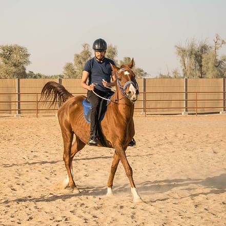 Horse Riding At Mleiha Arena – Sports Events KohK.com Special Offers, Deals & Discounts in Netherlands, Poland, Hungary, Denmark, Sweden, Latvia