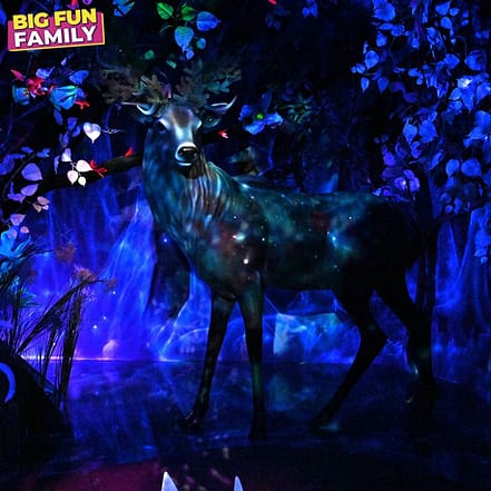 Big Fun Museum – Top-Rated Attractions KohK.com Special Offers, Deals & Discounts in Netherlands, Poland, Hungary, Denmark, Sweden, Latvia