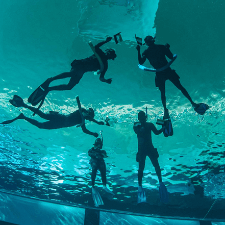 Deep Dive Dubai Surface Snorkeling Experience – Water Sports KohK.com Special Offers, Deals & Discounts in Netherlands, Poland, Hungary, Denmark, Sweden, Latvia